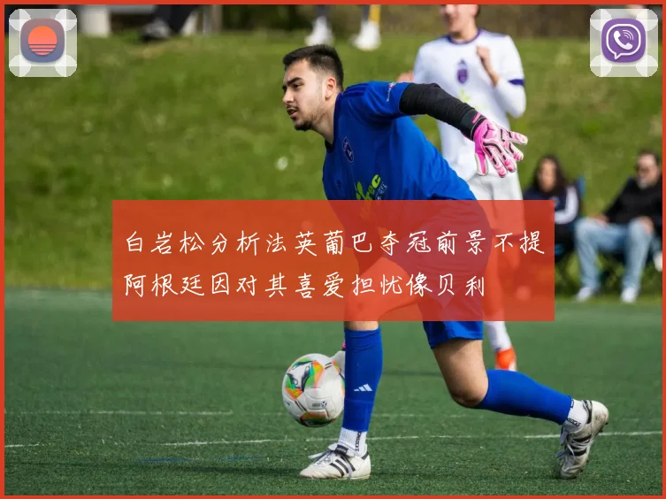 白岩松分析法英葡巴夺冠前景不提阿根廷因对其喜爱担忧像贝利